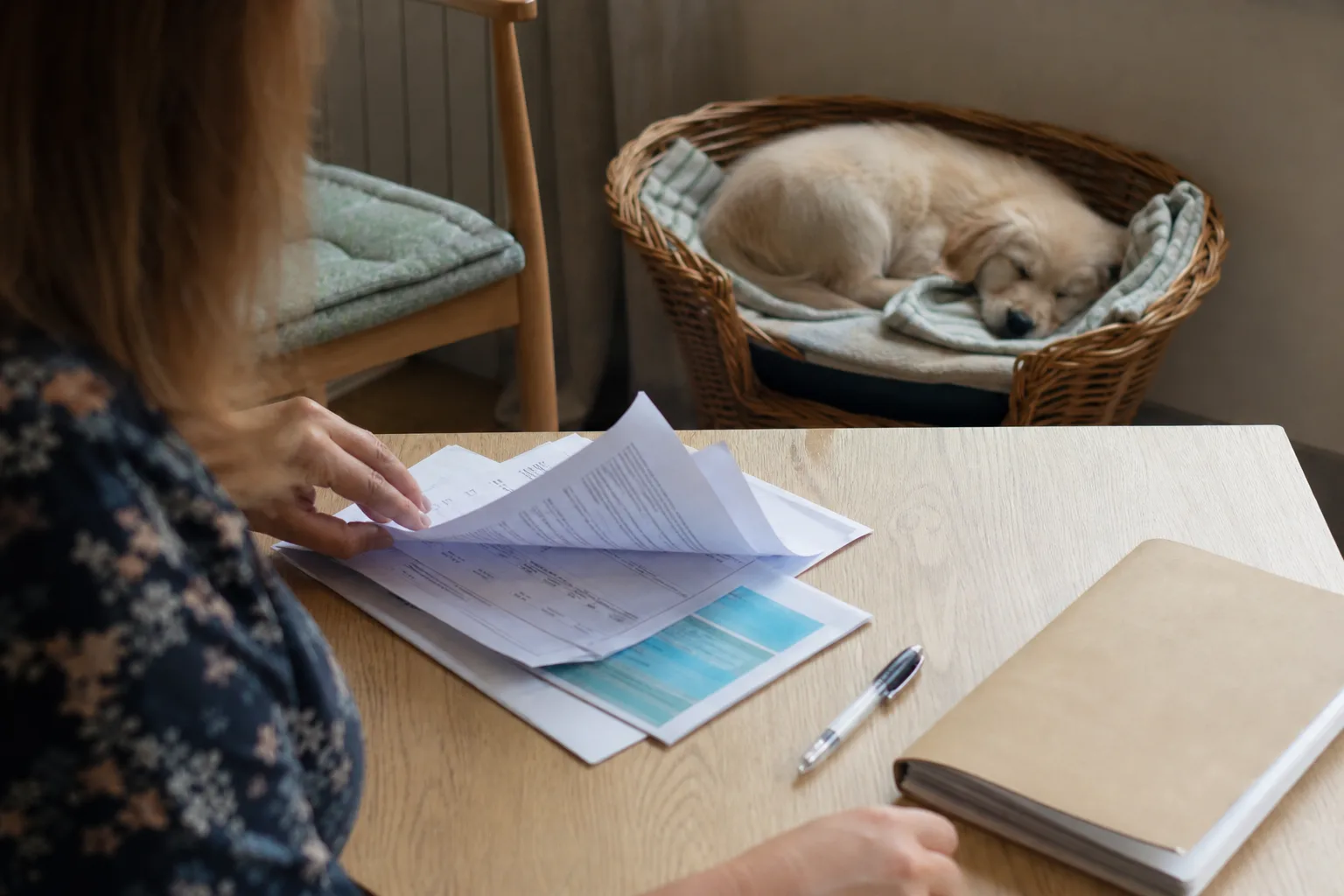 Des documents d’assurance, un carnet de santé de chien et un stylo posés sur un bureau en bois clair