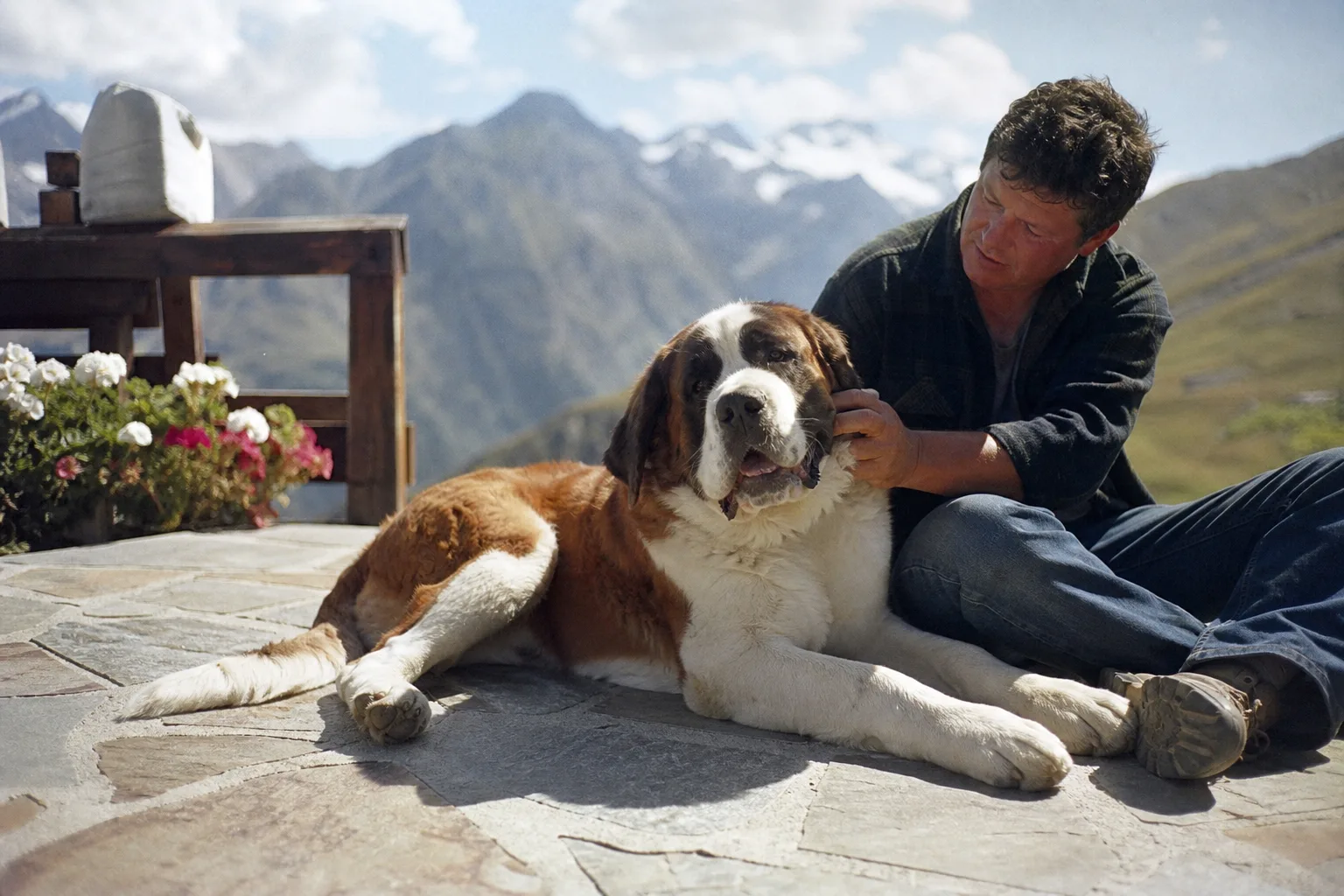 Un chiot saint-bernard de cinq mois couché sur une terrasse de pierre à côté de son propriétaire
