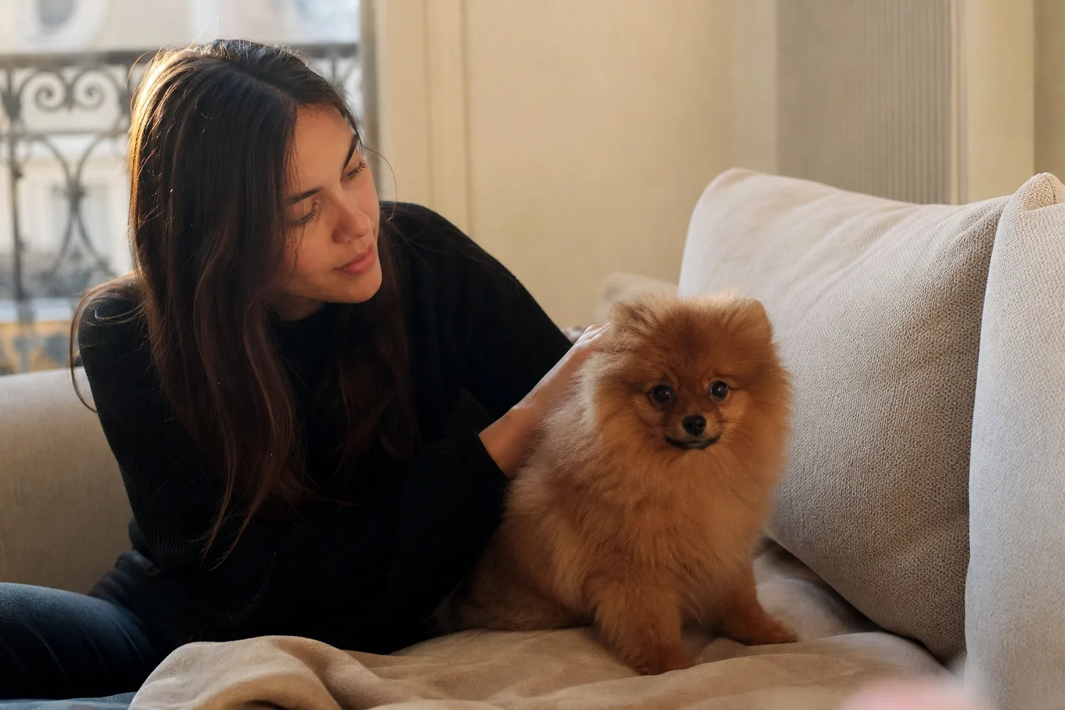 Un chiot spitz nain roux de trois mois assis sur un canapé, caressé par sa propriétaire